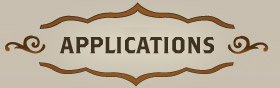 Content header that says Application